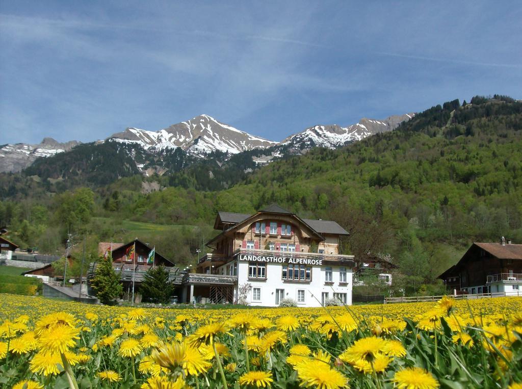 Hotel Alpenrose Beim Ballenberg Hofstetten bei Brienz Exterior foto